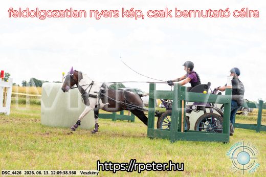 Mintakép 20260613-1599
