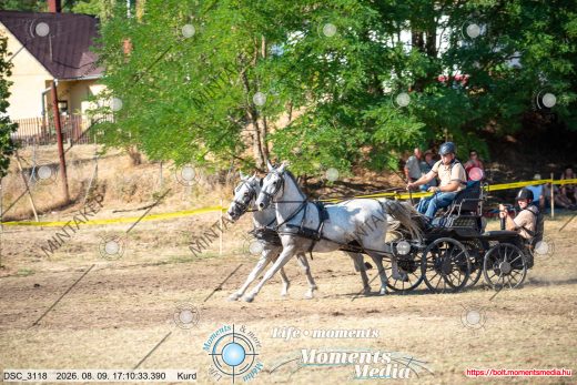 Mintakép 20260809-875