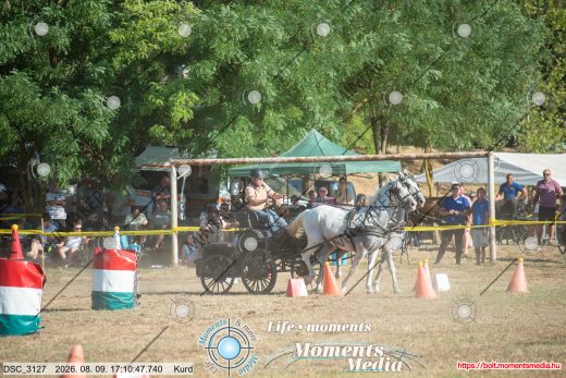 Mintakép 20260809-880