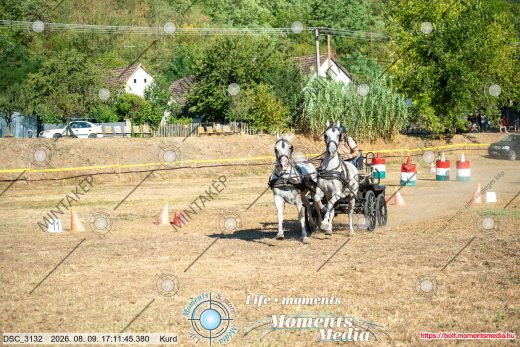 Mintakép 20260809-883