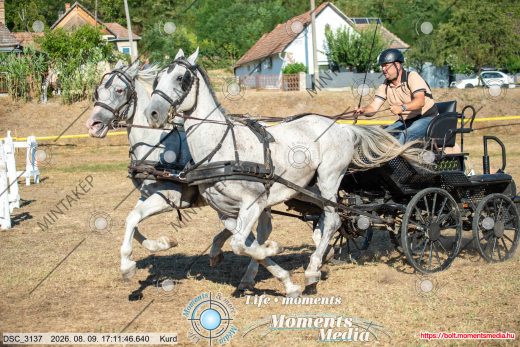 Mintakép 20260809-884