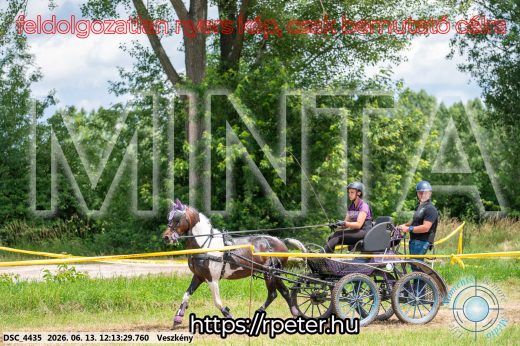 Mintakép 20260613-1602
