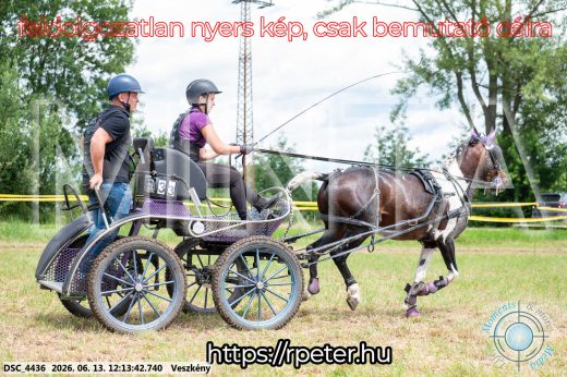 Mintakép 20260613-1603