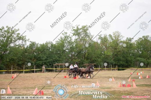 Mintakép 20260808-315