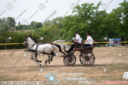Mintakép 20260808-347
