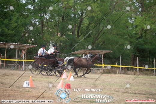 Mintakép 20260808-356