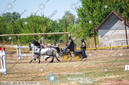Mintakép 20260809-910