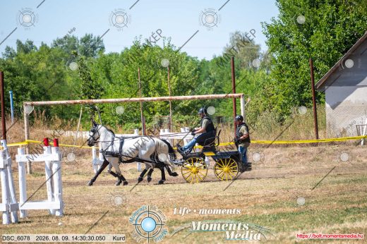 Mintakép 20260809-911