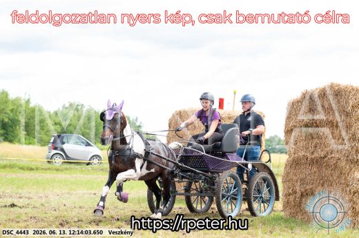 Mintakép 20260613-1609