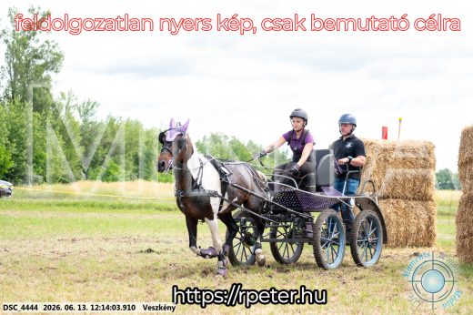 Mintakép 20260613-1610