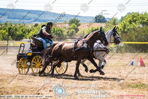 Mintakép 20260809-930