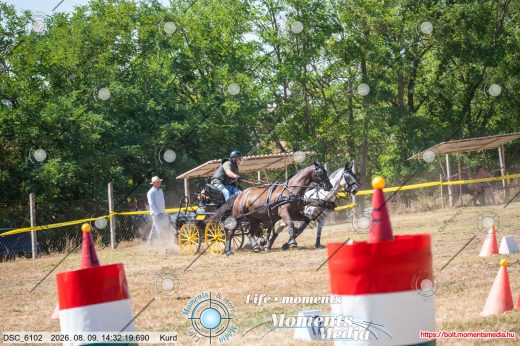 Mintakép 20260809-933