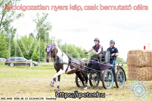 Mintakép 20260613-1611