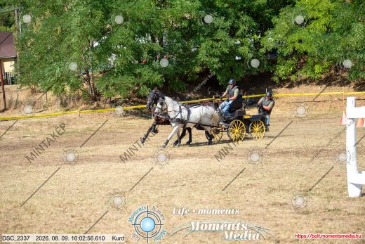 Mintakép 20260809-958