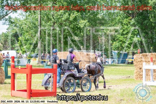 Mintakép 20260613-1613