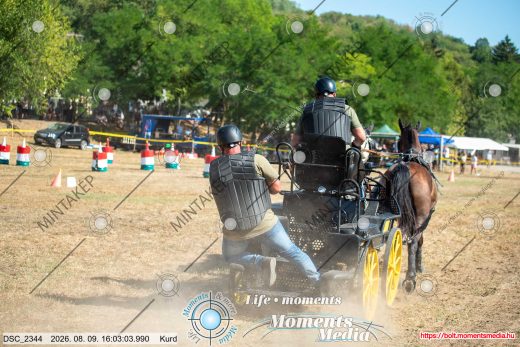 Mintakép 20260809-961
