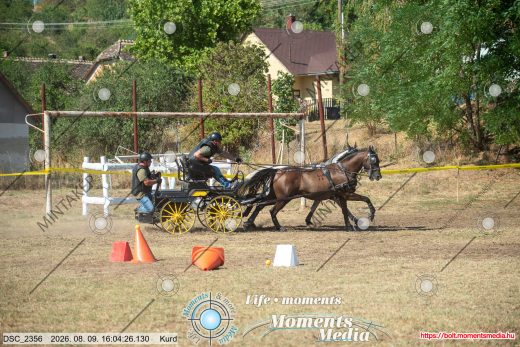 Mintakép 20260809-970