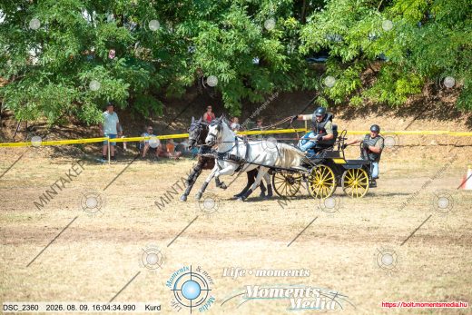 Mintakép 20260809-974