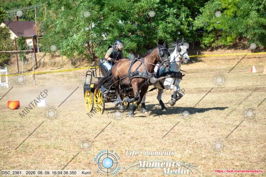 Mintakép 20260809-975