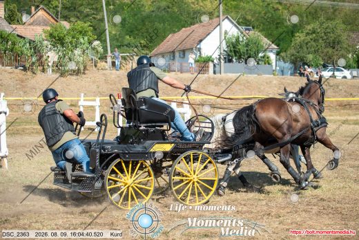 Mintakép 20260809-977