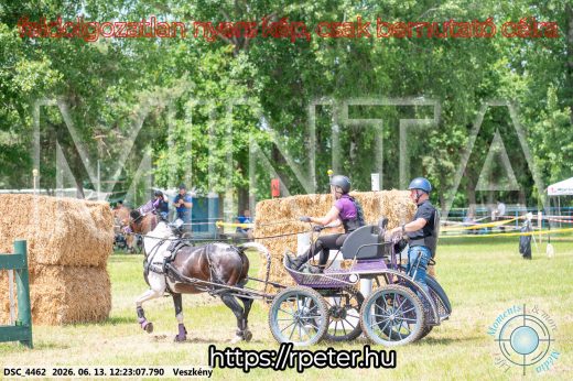 Mintakép 20260613-1615