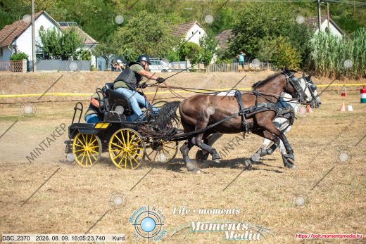 Mintakép 20260809-984