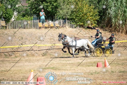 Mintakép 20260809-997