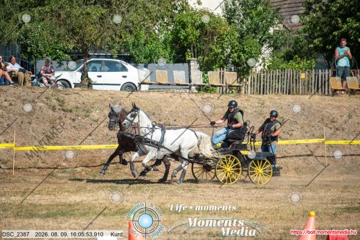 Mintakép 20260809-999