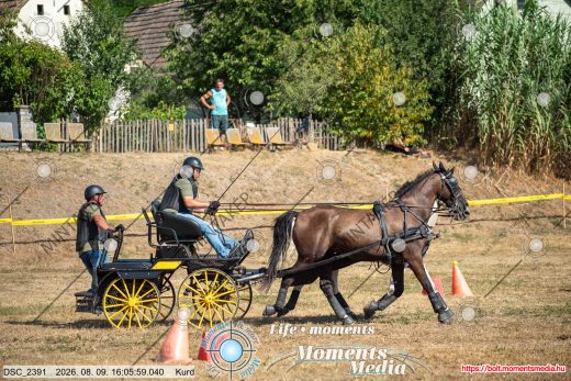 Mintakép 20260809-1002