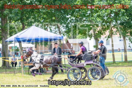 Mintakép 20260613-1618