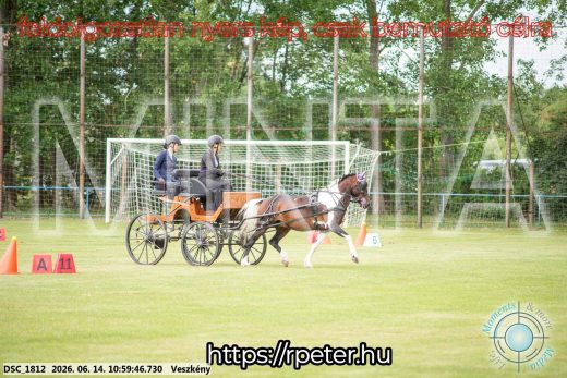 Mintakép 20260614-770