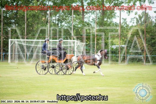 Mintakép 20260614-771