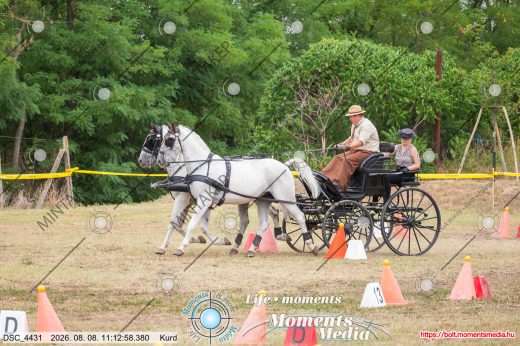 Mintakép 20260808-404