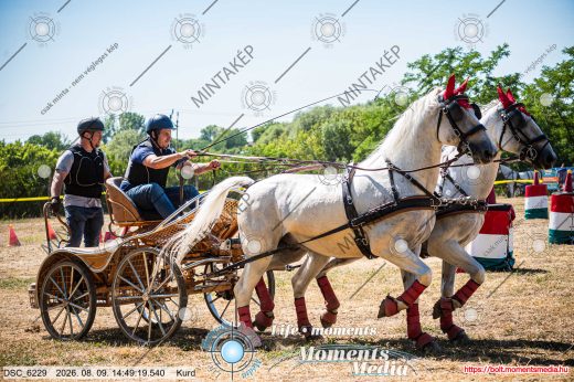 Mintakép 20260809-1010