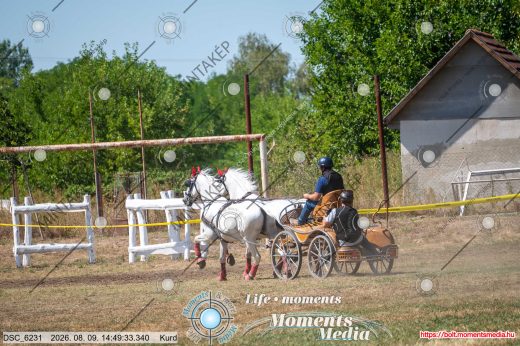 Mintakép 20260809-1012