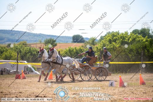 Mintakép 20260809-1017