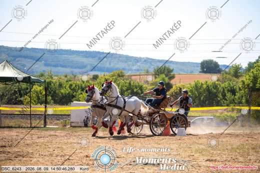 Mintakép 20260809-1022