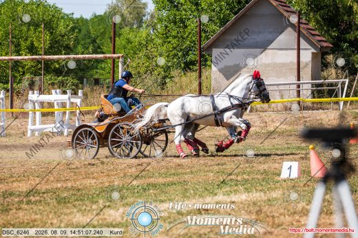 Mintakép 20260809-1025