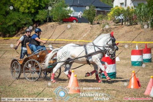 Mintakép 20260809-1027