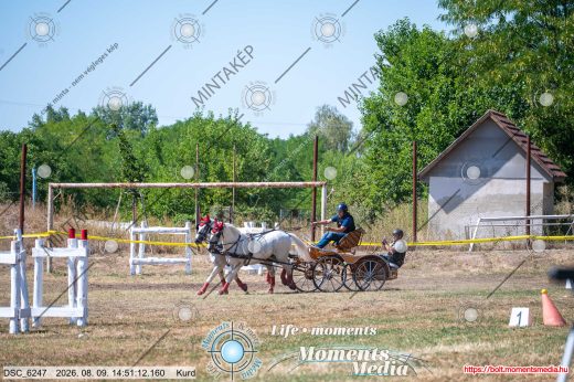 Mintakép 20260809-1028
