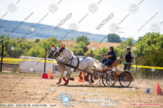 Mintakép 20260809-1032