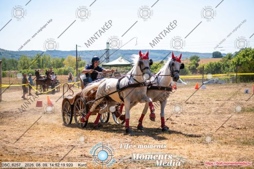 Mintakép 20260809-1034
