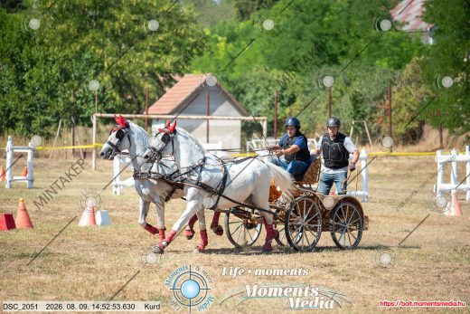 Mintakép 20260809-1040