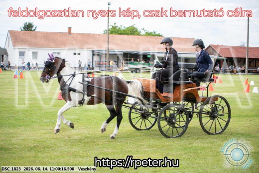 Mintakép 20260614-779