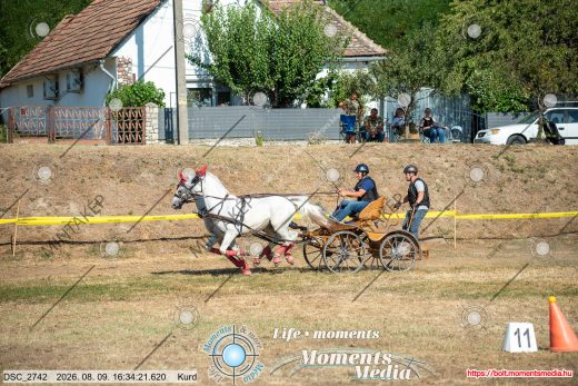 Mintakép 20260809-1057