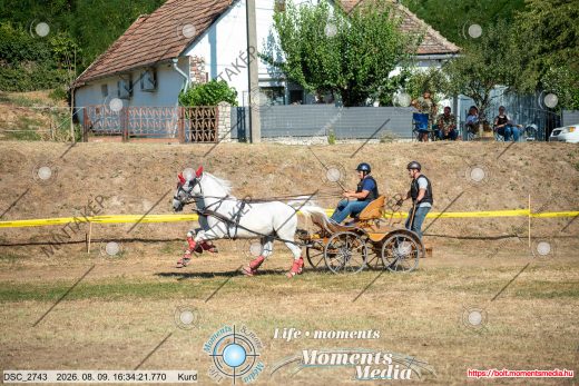 Mintakép 20260809-1058
