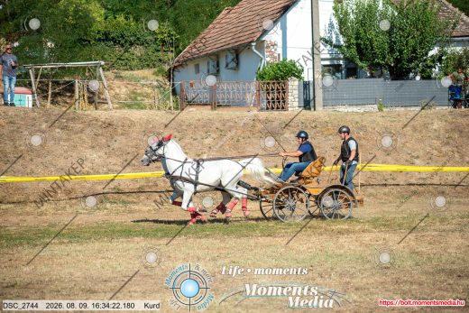 Mintakép 20260809-1059