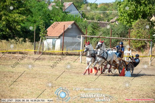 Mintakép 20260809-1062