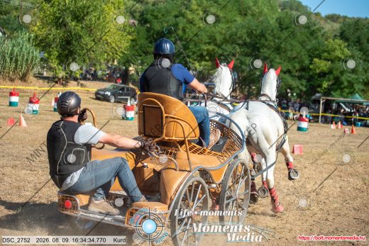 Mintakép 20260809-1065