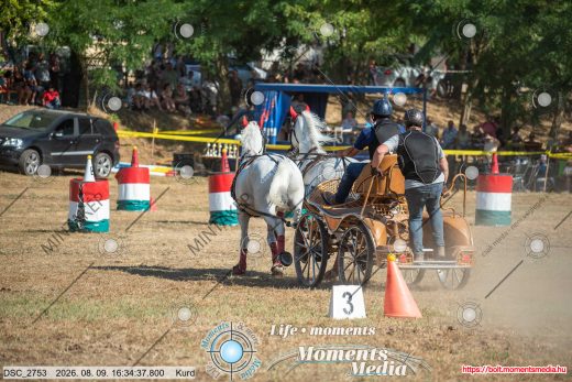Mintakép 20260809-1066